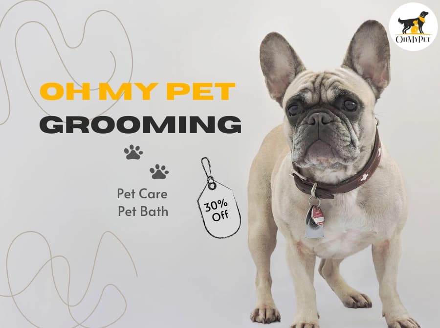 Oh My Pet Grooming